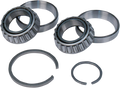 S&S CYCLE Bearing - Left 31-4013