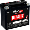 BS BATTERY Battery - BGZ20H 300938