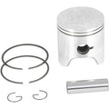 Parts Unlimited Piston Assembly - Rotax - +.020 09-7802