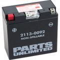 Parts Unlimited Agm Battery - Yt14b4 Ct14b4