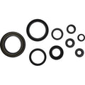 COMETIC Crankcase Oil Seal Kit - Honda C3139OS