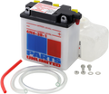Parts Unlimited Battery - 6n6-3b-1 6n6-3b-1-Fp