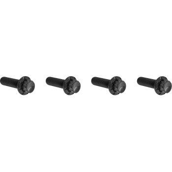ARLEN NESS Bolt Kit - Transmission Top Cover - 12-Point - Titanium - Black 300-978