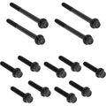 ARLEN NESS Bolt Kit - Primary Cover - Titanium - 12-Point - FLT - Black 300-927