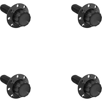 ARLEN NESS Bolt Kit - Windshield - Titanium - 12-Point - Black 300-840