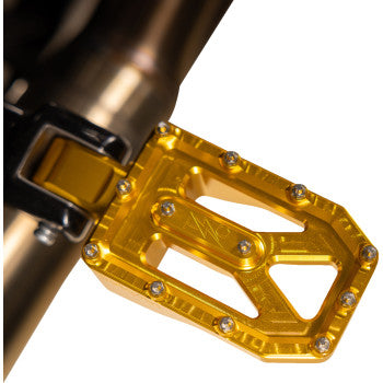 THRASHIN SUPPLY CO. Aggressor Footpegs - Rear - Gold TSC-2022-5-D
