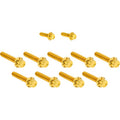 ARLEN NESS Bolt Kit - Cam Cover/Point Cover - Titanium - 12-Point - Gold 300-934