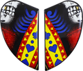 ICON Airform™ Side Plates - Suicide King - Gold 0133-1384