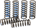 PRO CIRCUIT Clutch Springs CSY19250-CS