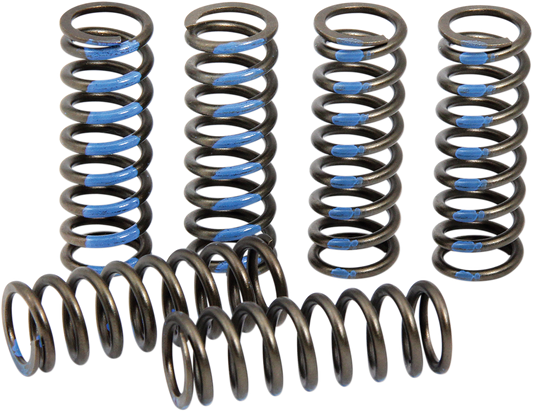 PRO CIRCUIT Clutch Springs CSY19250-CS