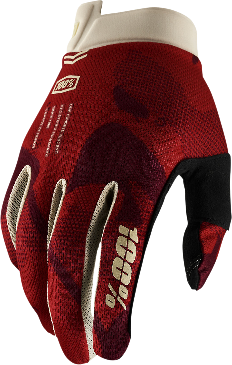 100% iTrack Gloves - Terra - Small 10008-00025