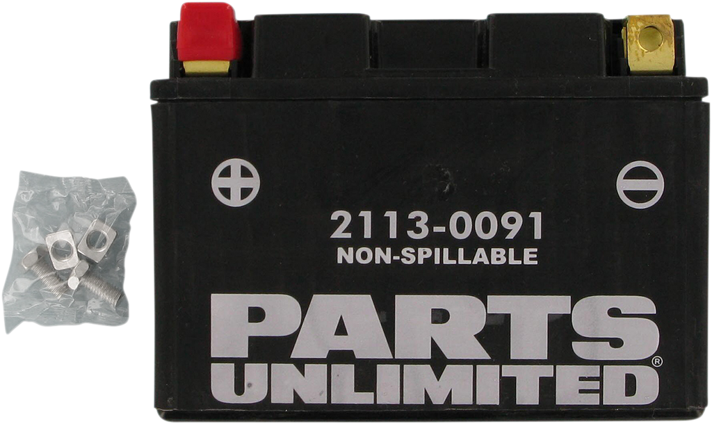 Parts Unlimited Agm Battery - Ytz12s Ctz12s