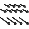 ARLEN NESS Bolt Kit - Primary Cover - Titanium - 12-Point - Twin Cam - Black 300-990