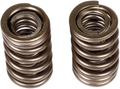 BBR MOTORSPORTS Valve Springs 411-HCF-1504