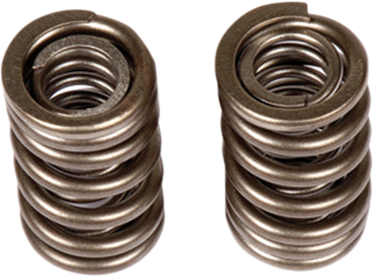 BBR MOTORSPORTS Valve Springs 411-HCF-1504