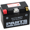 Parts Unlimited Agm Battery - Ytz12s Ctz12s
