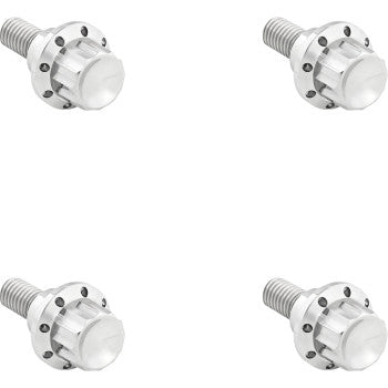 ARLEN NESS Bolt Kit - Windshield - 12-Point - Titanium - Silver 300-809
