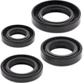 MOOSE OFFROAD Oil Seal Kit - Honda 822163mse