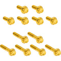 ARLEN NESS Bolt Kit - Rocker Box - 12-Point - Titanium - Gold 300-994