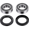 FACTORY LINKS Wheel Bearing Kit - Front - '16-'24 Ducati Multistrada FWK-I-001