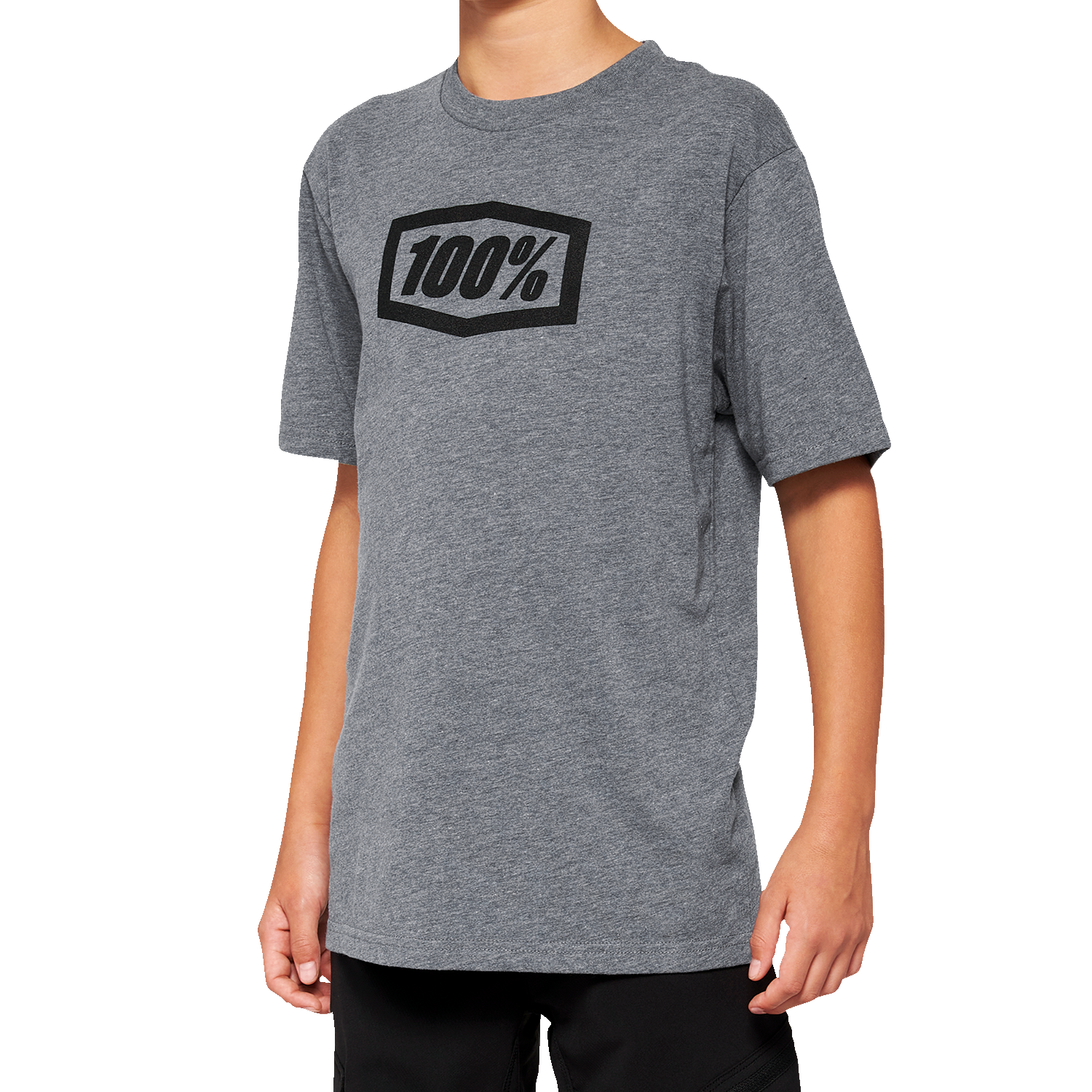 100% Youth Icon T-Shirt - Heather Gray - Large 20001-00010