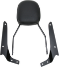 COBRA Sissy Bar - Standard - Shadow Phantom 02-5111B