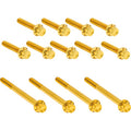 ARLEN NESS Bolt Kit - Primary Cover - Titanium - 12-Point - Twin Cam - Gold 300-991