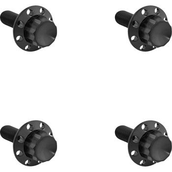 ARLEN NESS Bolt Kit - Windshield - Titanium - 12-Point - Black 300-816