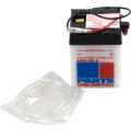 Parts Unlimited Conventional Battery 6n42a5