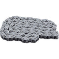 HOT CAMS Camshaft Chain - Roller - Polaris HC00116
