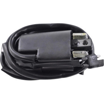 RM STATOR Ignition Coil - External RM06022