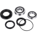 FACTORY LINKS Wheel Bearing Kit - Rear - Honda TRX420/500/520 ARA-H-019