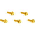 ARLEN NESS Bolt Kit - Derby Cover - 12-Point - Titanium - Gold 300-925