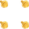 ARLEN NESS Bolt Kit - Windshield - Titanium - 12-Point - Gold 300-841