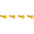 ARLEN NESS Bolt Kit - Transmission Top Cover - 12-Point - Titanium - Gold 300-979