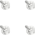 ARLEN NESS Bolt Kit - Windshield - Titanium - 12-Point - Polished 300-839