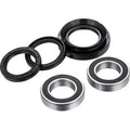 FACTORY LINKS Axle Bearing Kit - Rear - Honda ARA-H-024