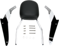 COBRA Sissy Bar - Standard - VLX600 02-5101