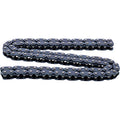 HOT CAMS Camshaft Chain - Roller - Polaris HC00042