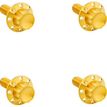 ARLEN NESS Bolt Kit - Windshield - Titanium - 12-Point - Gold 300-817