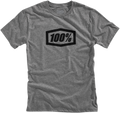 100% Icon T-Shirt - Heather Gray - Large 20000-00027