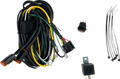 HERETIC Wire Harness 20022