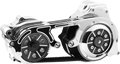 BELT DRIVES LTD. 2" Drive Belt - Chrome TC2PBH-2-C