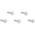 ARLEN NESS Bolt Kit - Derby Cover - 12-Point - Titanium - Polished 300-938