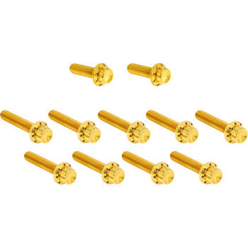 ARLEN NESS Bolt Kit - Cam Cover/Point Cover - Titanium - 12-Point - Gold 300-982