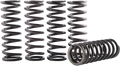 HINSON RACING Clutch Spring Kit - CRF250R/RX CS189-5-0613