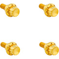 ARLEN NESS Bolt Kit - Windshield - 12-Point - Titanium - Gold 300-811