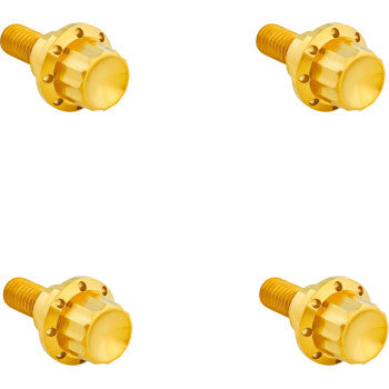 ARLEN NESS Bolt Kit - Windshield - 12-Point - Titanium - Gold 300-811