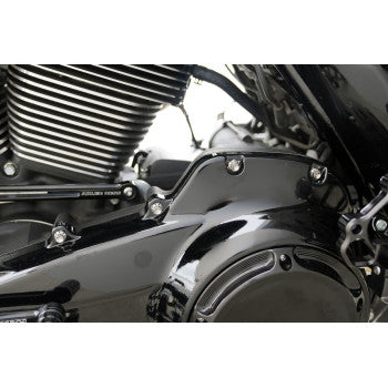 ARLEN NESS Bolt Kit - Primary Cover - Titanium - 12-Point - FLT - Polished 300-926