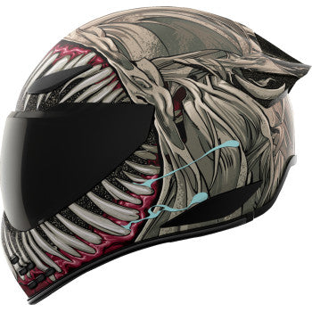 ICON Domain™ Helmet - Grand Maw - Gray - Medium 0101-17296